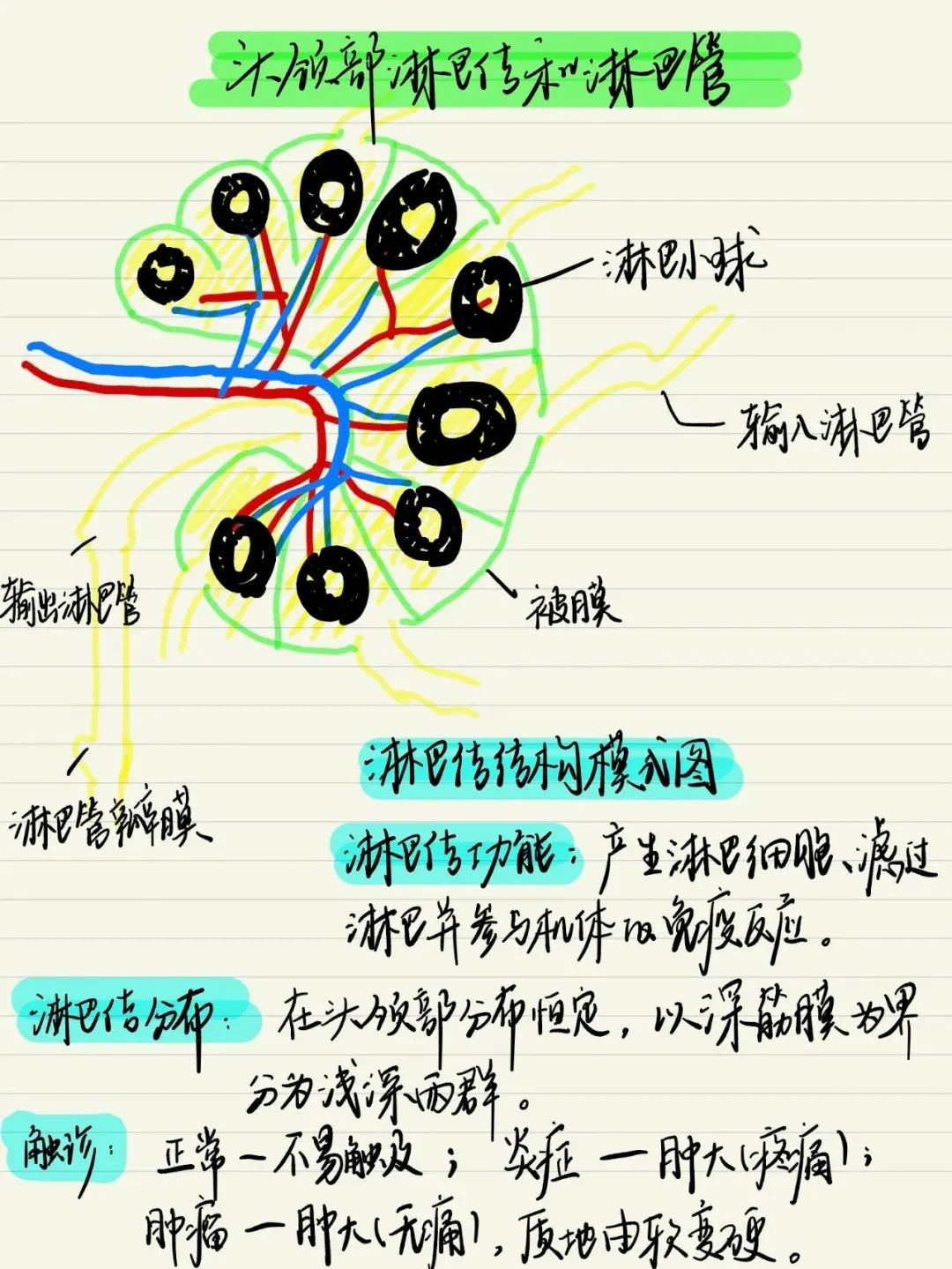 descript