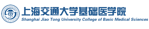 基础bat365官网登录